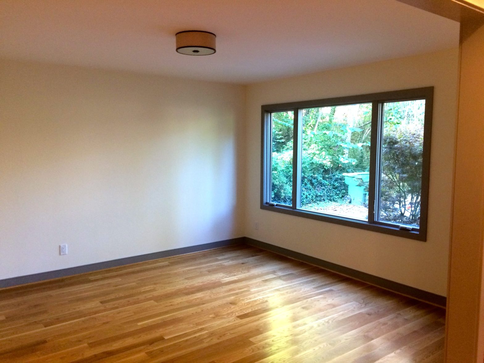 Moderm Living Room in N Asheville