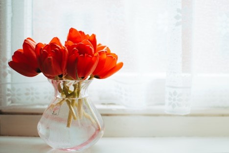 A vase of fresh tulips.